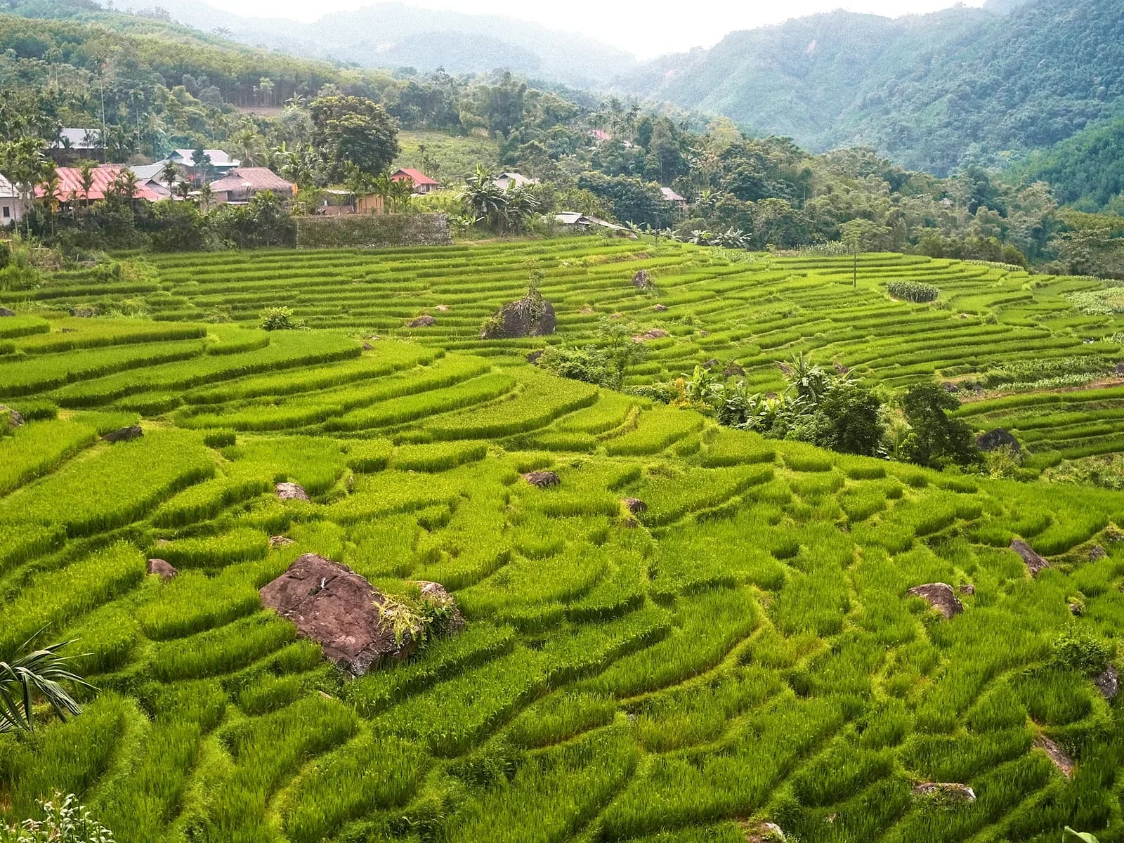 Pù Luông
