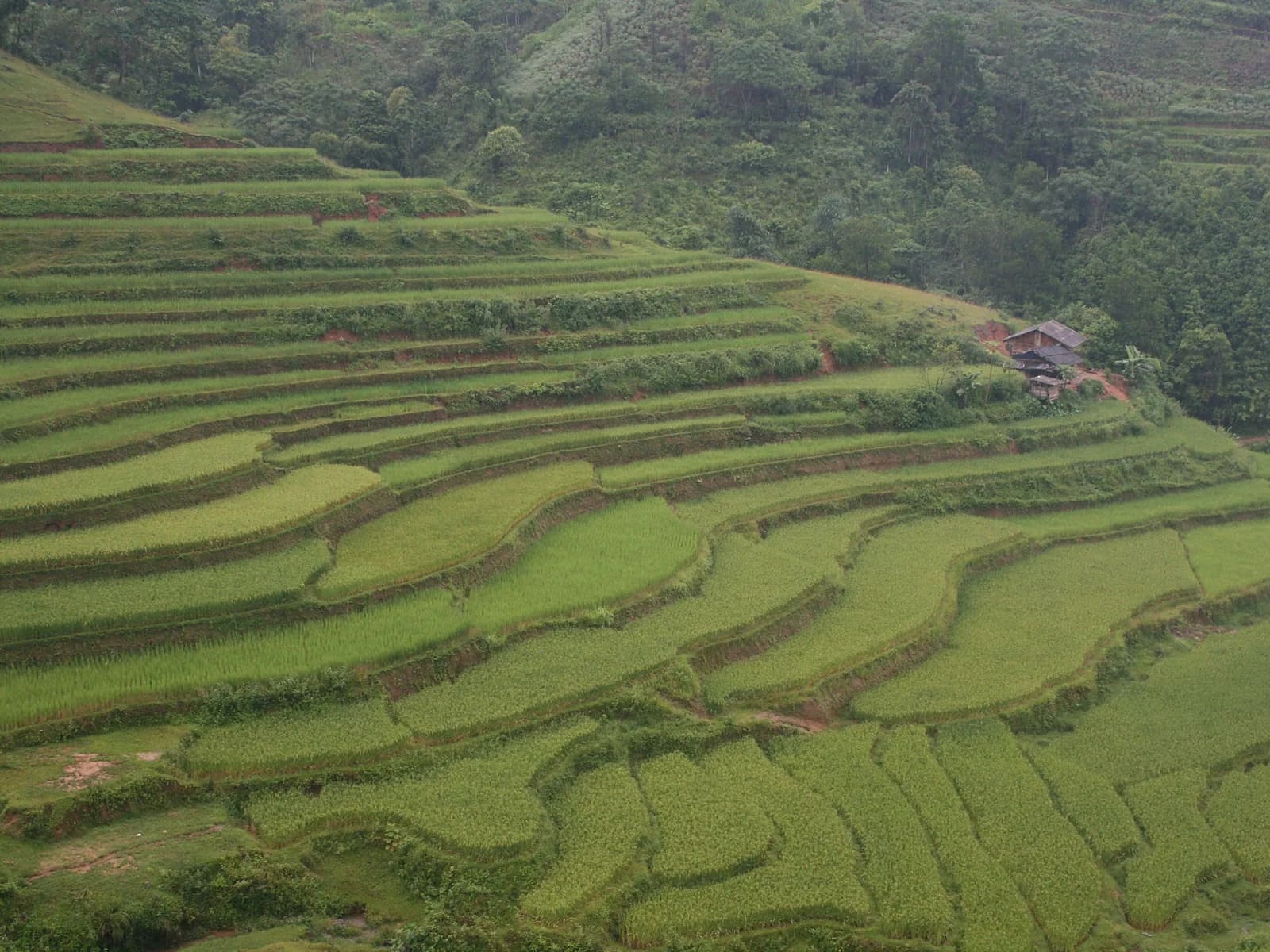 Xuyên Pù Luông qua đỉnh 1.700
